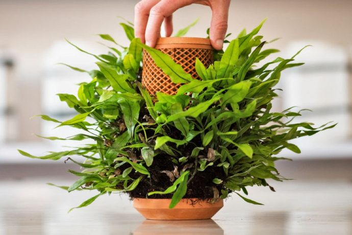 This futuristic Alexa shaped planter that lets you grow plants without any soil!