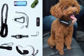 This dog leash fits everything you need in one system – including sound and vibration training!