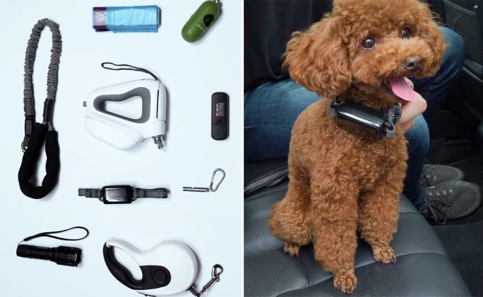 This dog leash fits everything you need in one system – including sound and vibration training!