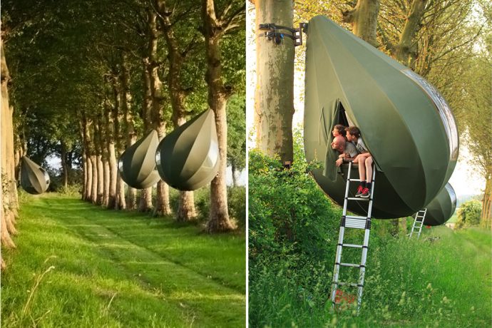This avocado-shaped tent was made for the camping life of millennials!