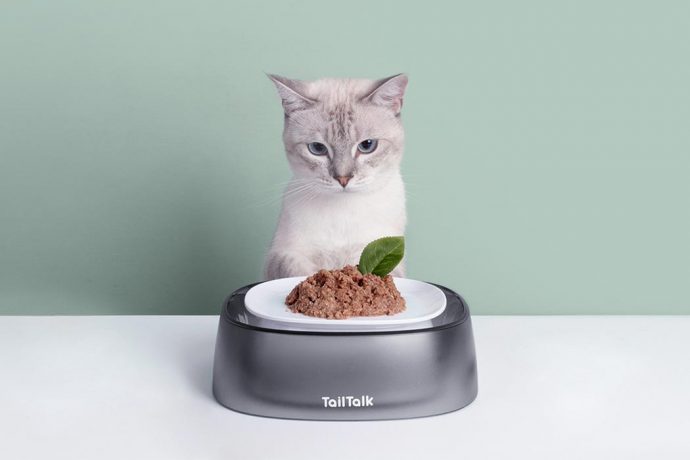 This flipping cat bowl avoids food spillage wet + dry meals, and prevents whisker fatigue!