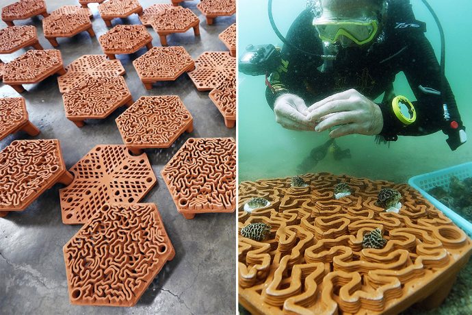 These 3D printed terracotta tiles along Hong Kong’s coast are designed to revive the marine coral life!