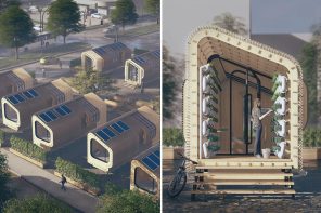 This tiny home was designed to facilitate micro living in expensive cities!