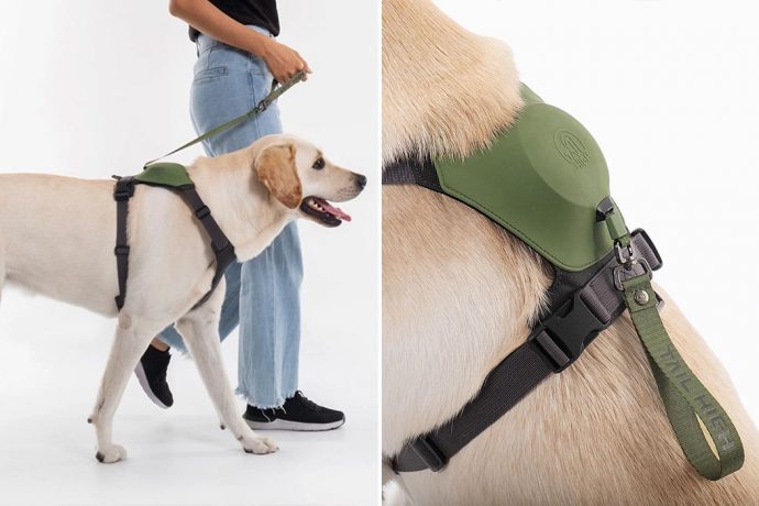 This dog harness + leash combo is the safest, most comfortable way for humans to walk their pets!