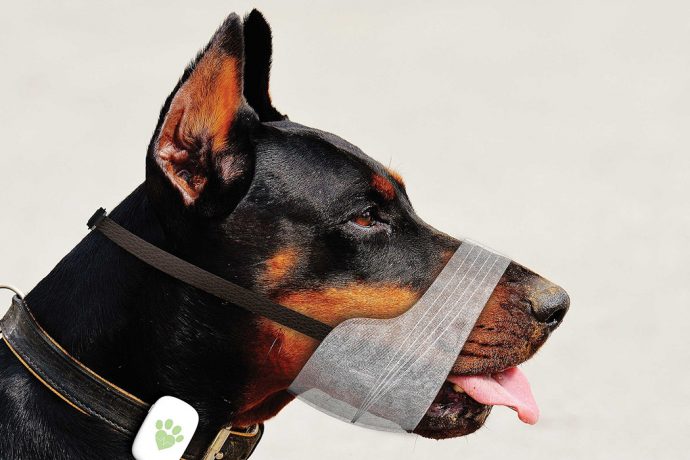 This dog-friendly muzzle design tightens only when your dog feels threatened