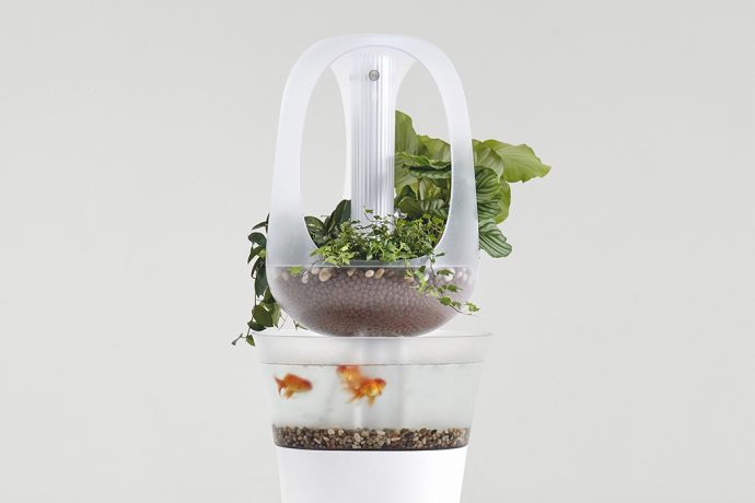 This hydrophonic aquarium + planter takes care of itself