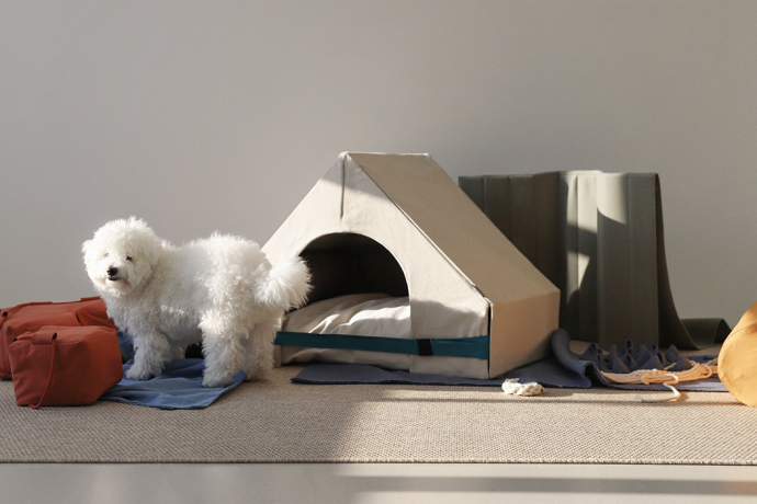 Your dog’s personality, determined by psychology, will dictate the best bed for them!
