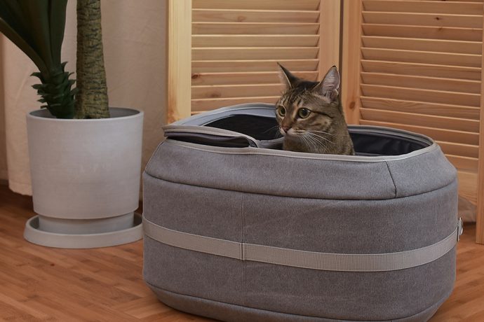 This pet carrier + bed is a multifunctional design that your pet will voluntarily jump into!