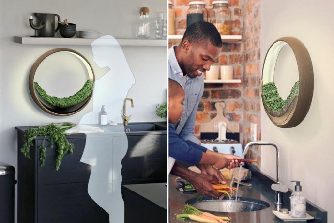 This smart microgreens garden resembles a wall-mounted circular Dyson fan!