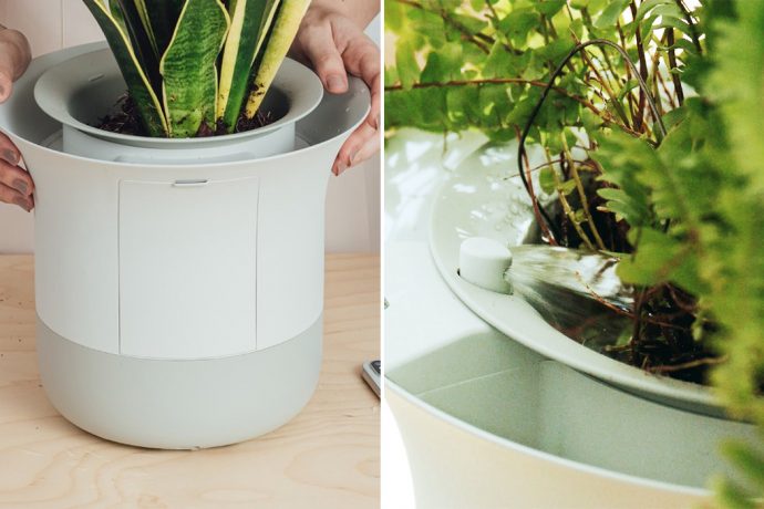 This smart gardening assistant solves the millennial problem of watering your plants while globetrotting!