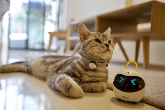 A robotic cat toy + surveillance camera to keep your pet safe and entertained for hours!