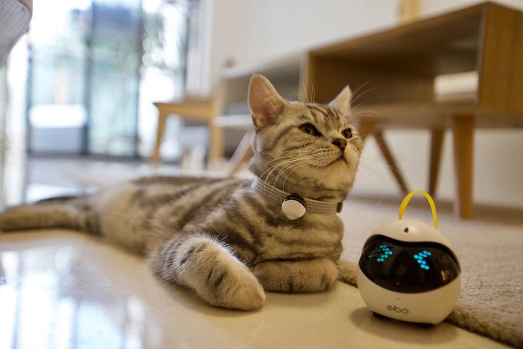 A Robotic Cat Toy Surveillance Camera