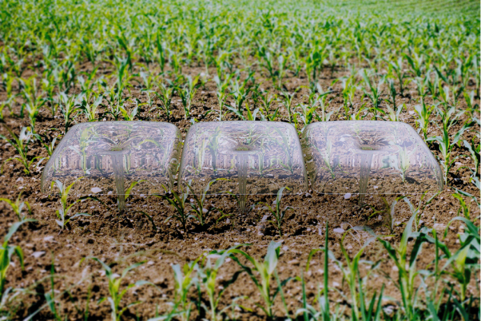 Modular micro-environments that grow with the plants, helping farmers germinate without transplanting!