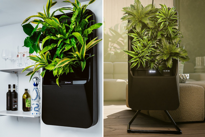 This hydroponic smart garden mounts on your wall to remove the air pollutants accumulated in quarantine
