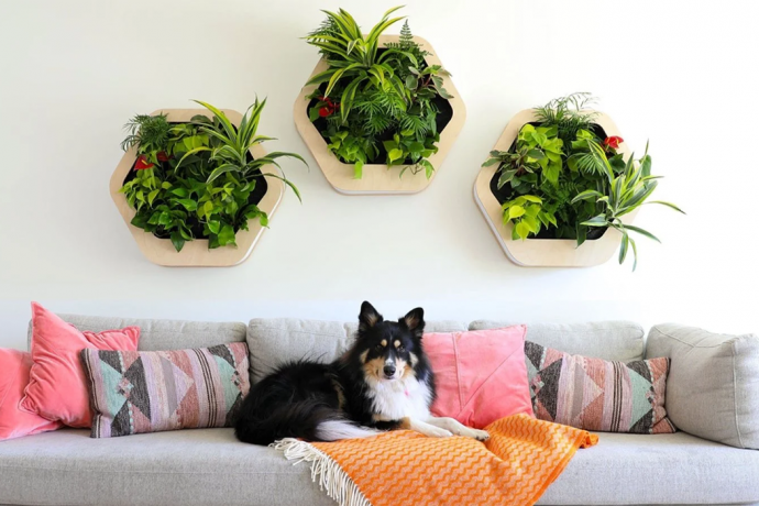 This hexagonal indoor planter system helps you choose plants that will flourish in your home’s natural lighting