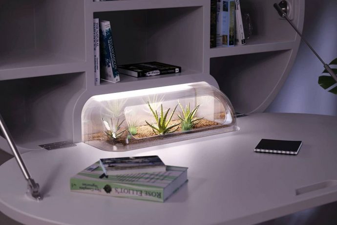 This wall-mounted desk holds a terrarium to improve your mental health while working from home