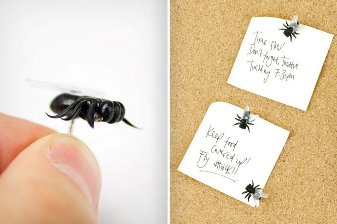 Housefly-inspired board pins are the most quirky and creative stationery I’ve ever seen!