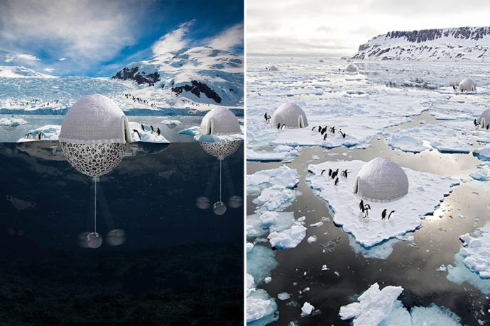These Igloos designs for penguins rebuild polar ice caps to help fight the threat of global warming!
