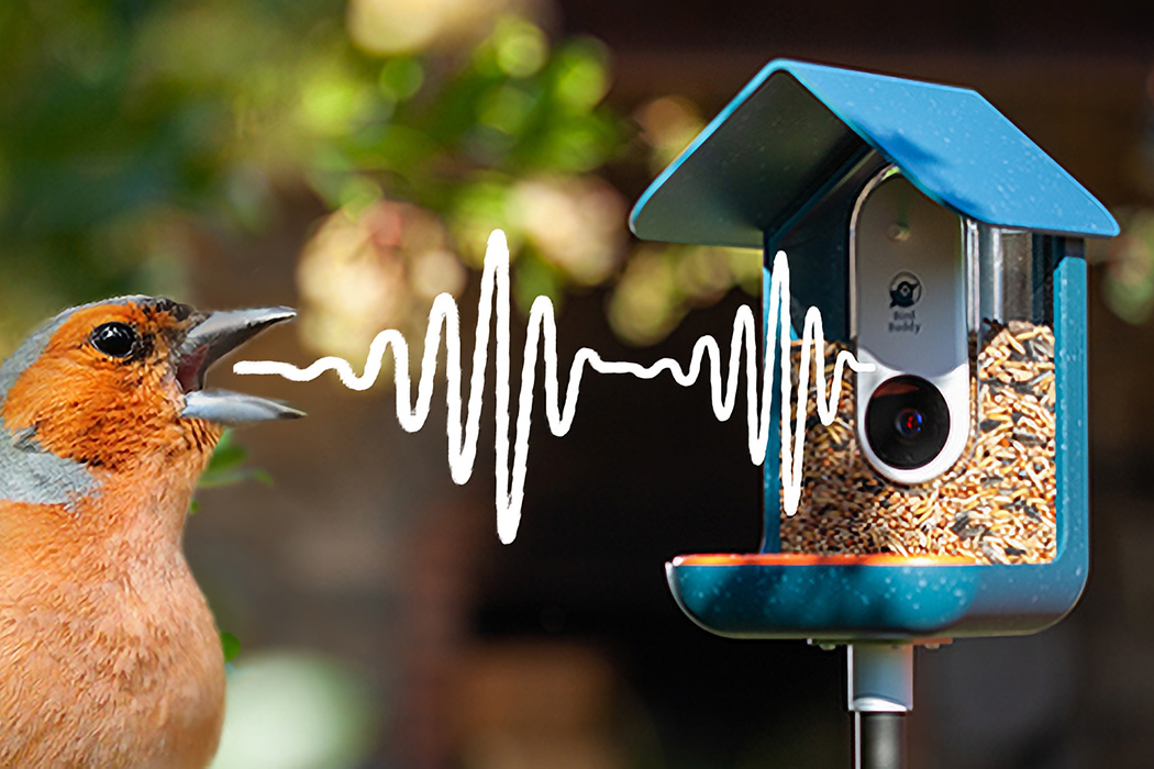 The Bird Buddy from CES 2023 isn't the only bird feeder camera, but it  might be the best