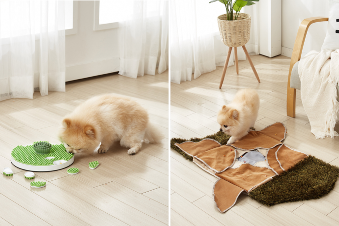 This indoor dog game brings in the outdoors and hides treats for your pet to sniff out!
