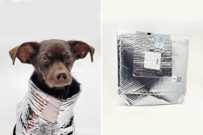 Made from upcycled polypropylene packaging, a fashion designer & creative director designed a winter jacket for dogs!