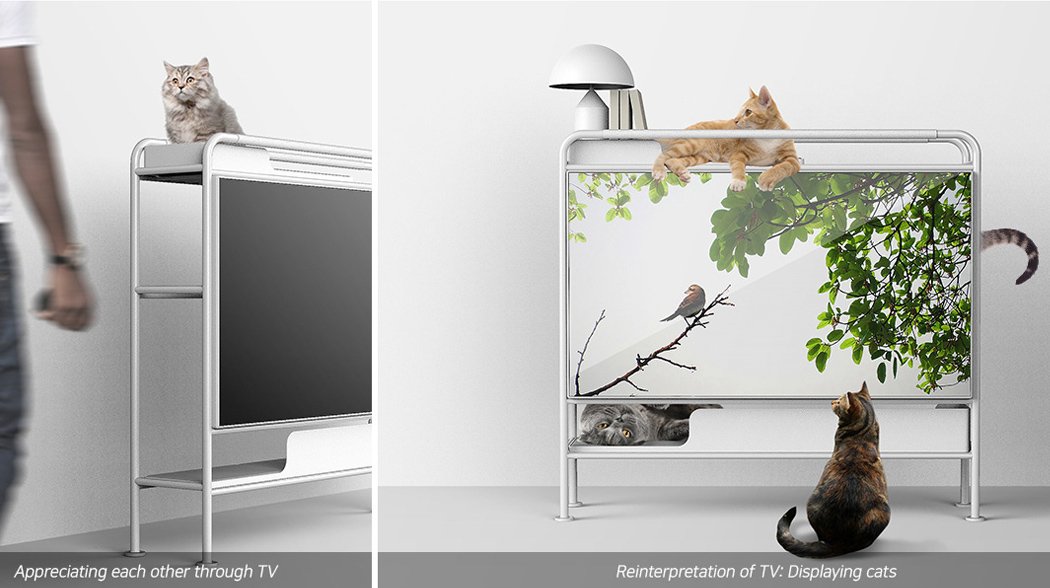Этот компактный телевизор станет уютным домом для вашего любимого кота!