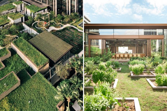 This first ever nature preserve in Hong Kong brings the beauty of biodiversity to the concrete jungle!