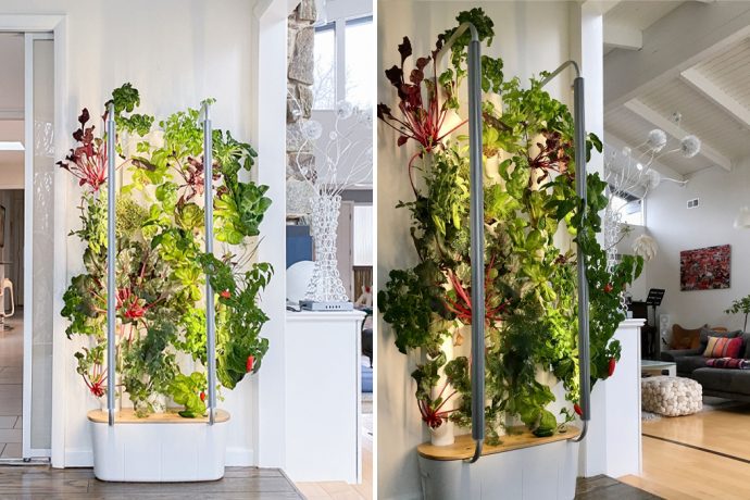 This indoor garden lets you grow up to thirty plants in the comfort of your home!