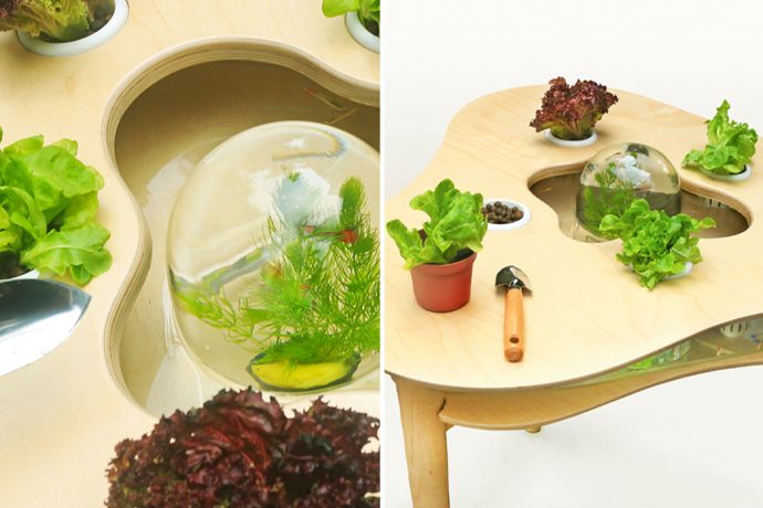 This indoor horticulture gardening table uses aquaponics to grow plants and cutout’s to create a functional sculpture!