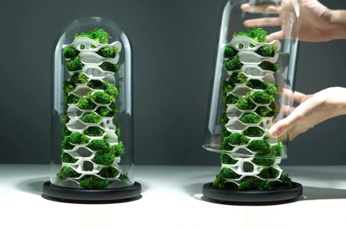 This sculptural terrarium brings the worlds of nature and architecture together