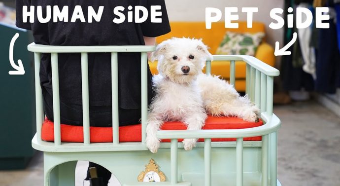 This DIY desk chair doubles as a doghouse and bed to get those little puppies off your lap!