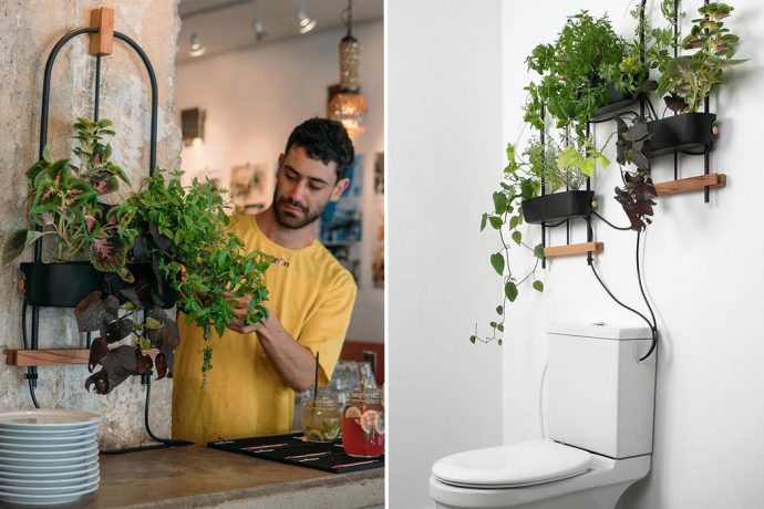 This hydroponic planter uses water from dishwasher, washing machine, and toilet to grow plants