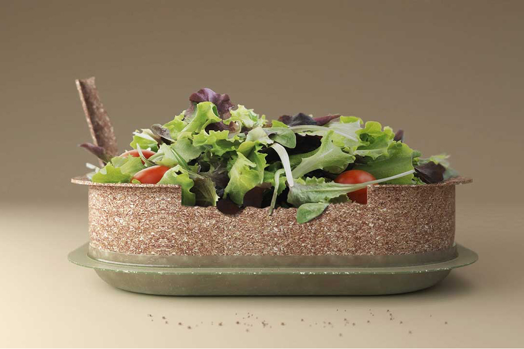 These sustainable single-use takeout containers made from wheat husk are fully compostable!