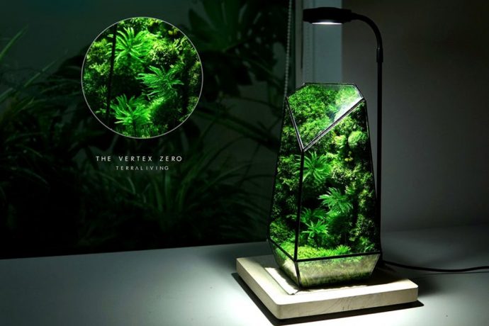 This glass terrarium encases biologically inactive moss to create an indoor garden without the upkeep!