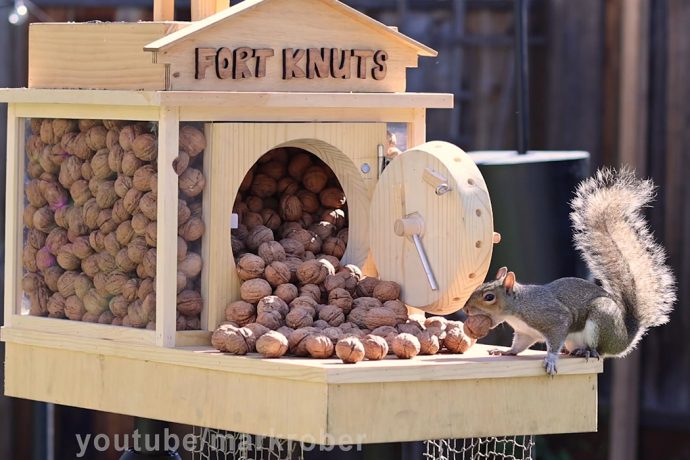 Ex-Nasa engineer’s DIY Mission Impossible-style obstacle course for squirrels gets over 6M views!