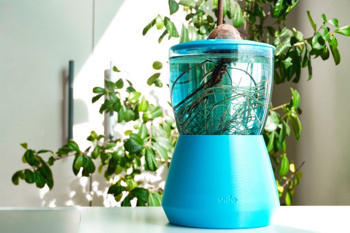 This DIY hydroponic pot repurposes a glass goblet to grow avocado in your living room