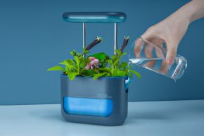 Kickstarter’s tiny self-watering herb planter is back with a bigger, better design
