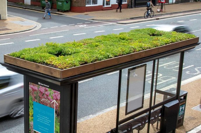 These bee-friendly living roofs on the Leicester city bus stops is part of their goal to become carbon-neutral by 2030!