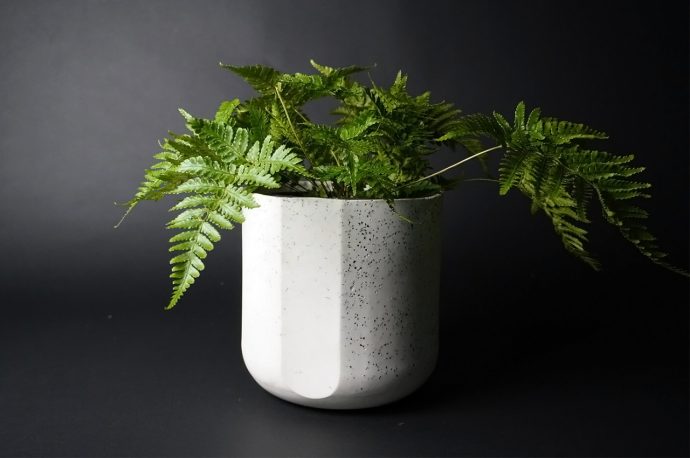 This planter made from porcelain, organic waste & carbon actively reduces greenhouse gas emissions!