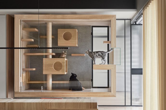 This modern apartment has a suspended glass cabin which is goals for cat lovers and their pets!