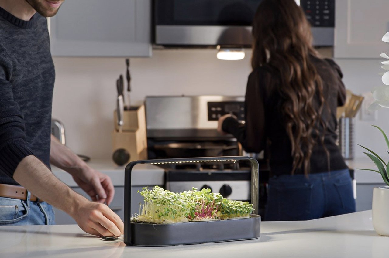 Top 10 Kitchen Appliances To Revamp + Rejuvenate Your Everyday Cooking  Process - Yanko Design