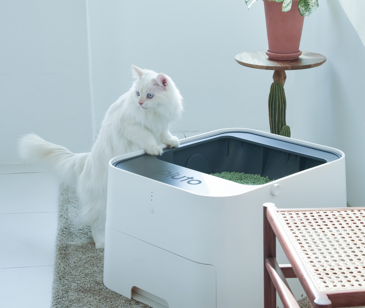 This self-cleaning cat litter-tray is fancier than the toilet astronauts do their business in…