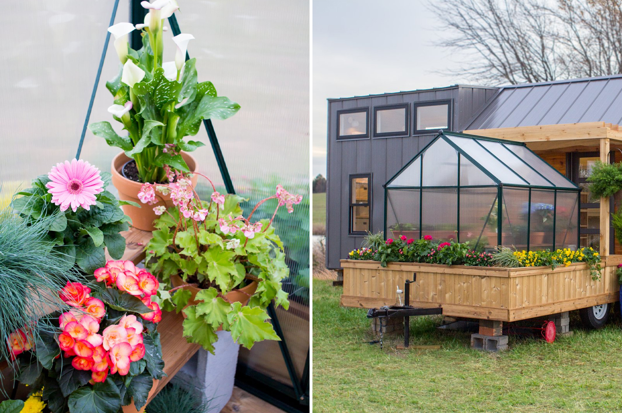 This Tiny Home Comes With a Greenhouse and Porch Swing