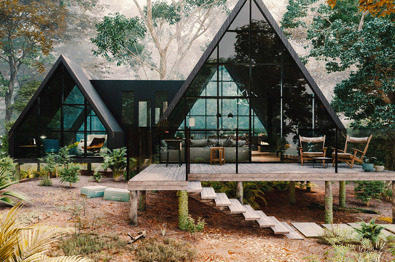 Triangle Shaped House Design