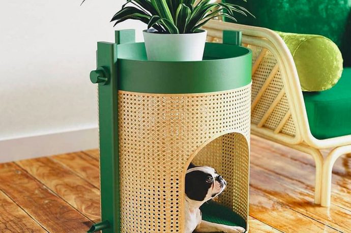 Dog-friendly Products to help your pet feel comfortable, loved + his best self at home!