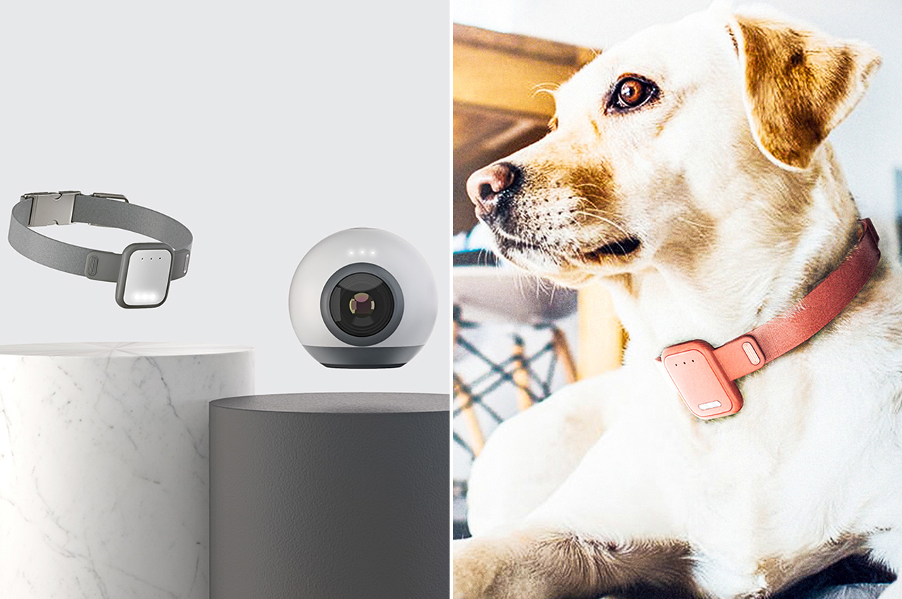 These IoT pet devices uses smart technology to allow owners to interact  with their dogs while away from home! - Yanko Design
