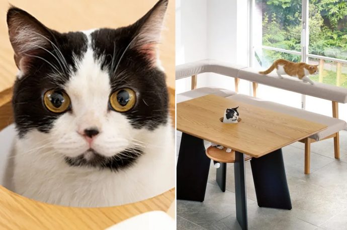 This cat-centered table design features a cavity and hidden shelf for your pets to perch while you WFH!