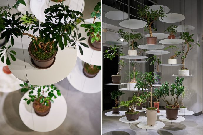 This hanging wire shelving is designed to showcase each plants individuality and unique purpose!
