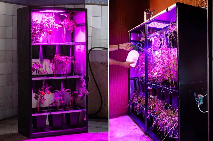 This self-sustainable cloud server is powered by the energy of growing tomatoes indoor!