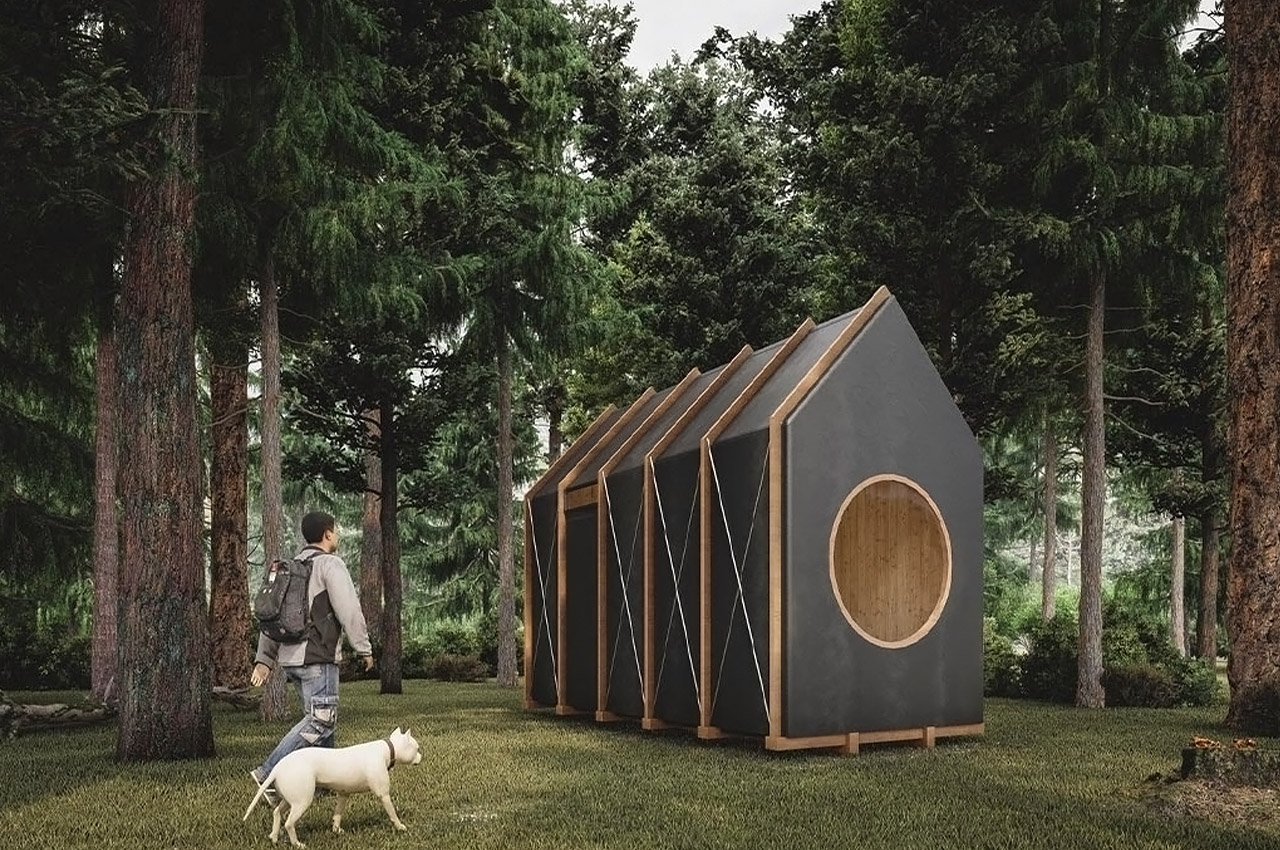 Tiny Cabin Architecture Designs for Micro Living